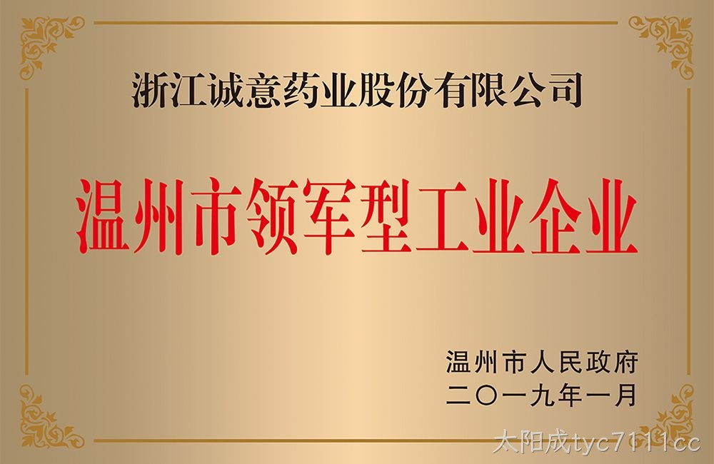 温州市领军型工业企业