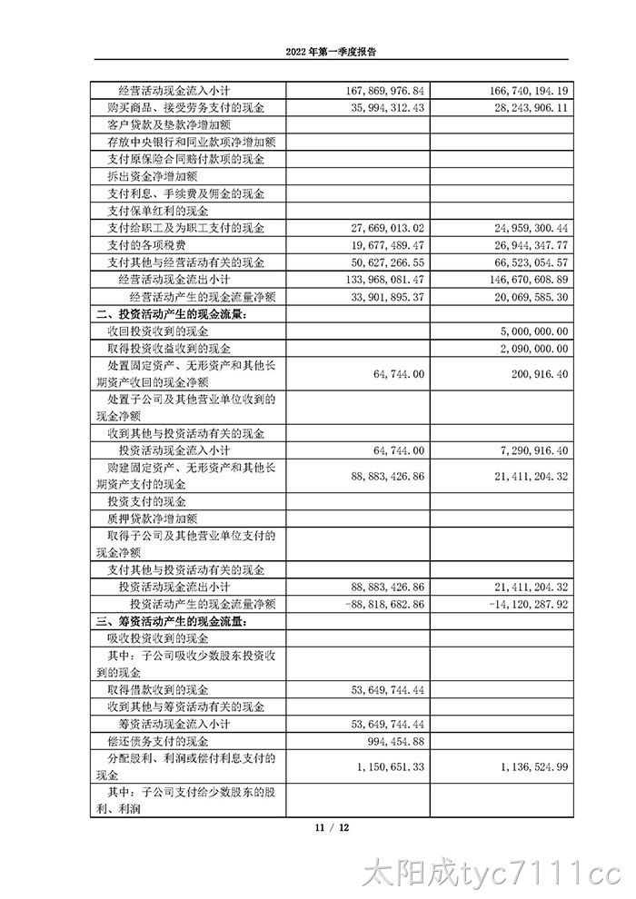 太阳成tyc7111cc2022年第一季度报告_页面_11
