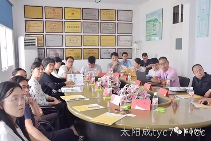 国家自然资源部沈君副司长一行来太阳成tyc7111cc调研 国家自然资源部沈君副司长一行来太阳成tyc7111cc调研